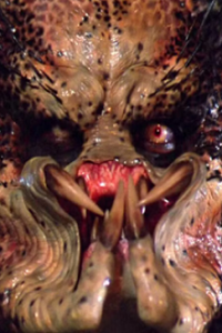 Predator